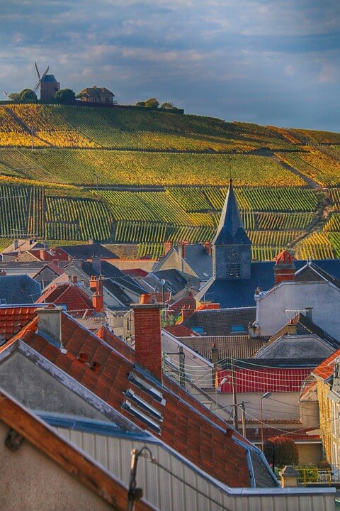 波兰VAT税号是什么?编号格式、申请流程及欧盟交易中的实际用途解析
