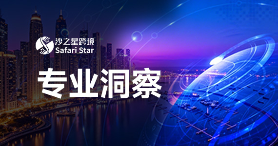 专业洞察 | 从美国30万美元罚单中，我们拆解出“架构错配”的典型模型