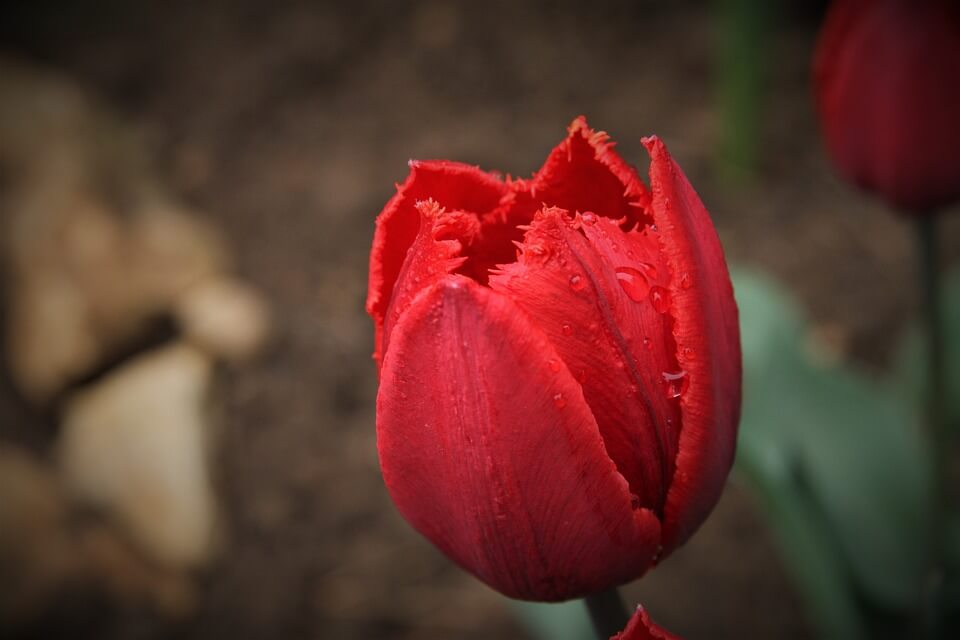 当企业更换意大利VAT代理机构之后历史账目应该如何进行修正
