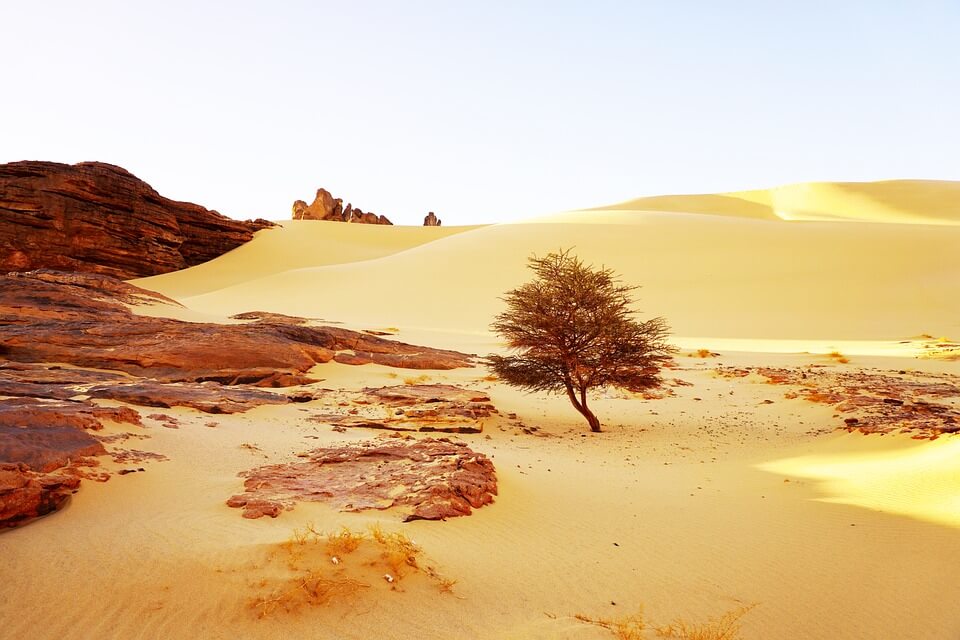 丹麦土地税怎么计算？不同用途土地税率差别大吗